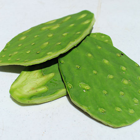 Nopales